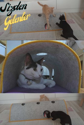 By Pet Yetişkin Kedi Tüneli Oyuncağı