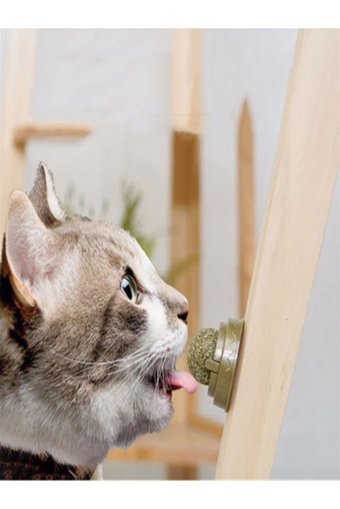 Özasya Avm Hareketli Kedi Otlu Diş Kaşıma Yavru Top Kedi Oyuncağı