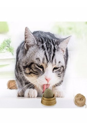 Özasya Avm Hareketli Kedi Otlu Diş Kaşıma Yavru Top Kedi Oyuncağı