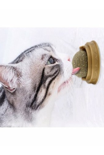 Özasya Avm Hareketli Kedi Otlu Diş Kaşıma Yavru Top Kedi Oyuncağı