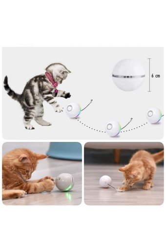 Kedimo Hareketli Kedi Otlu Sesli Diş Kaşıma Yavru Top Kedi Oyuncağı