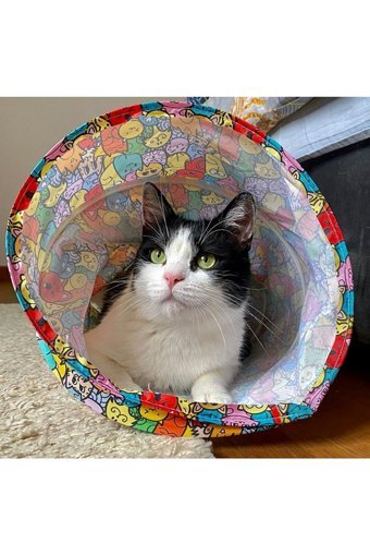 Miyav Yetişkin Kedi Tüneli Oyuncağı
