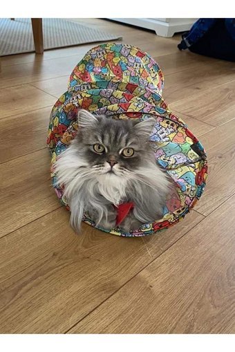 Miyav Yetişkin Kedi Tüneli Oyuncağı