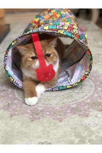Miyav Yetişkin Kedi Tüneli Oyuncağı