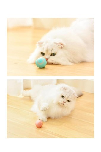 Almetadan Hareketli Kedi Otlu Sesli Diş Kaşıma Yavru Top Kedi Oyuncağı