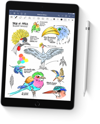 Apple iPad 9.Nesil (MK2P3TU/A) 256 GB iPadOS 3 GB Ram 10.2 İnç Tablet Gümüş
