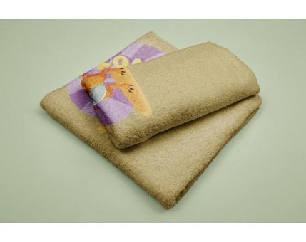 Evdek DS33 Mikrofiber Plaj Havlusu Çok Renkli