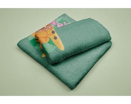 Evdek DS31 Mikrofiber Plaj Havlusu Çok Renkli
