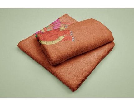 Evdek DS21 Mikrofiber Plaj Havlusu Çok Renkli