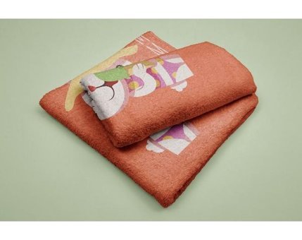 Evdek DS39 Mikrofiber Plaj Havlusu Çok Renkli