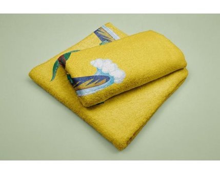Evdek DS25 Mikrofiber Plaj Havlusu Çok Renkli
