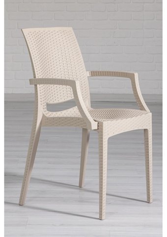 Modalife Kollu Rattan 2 Adet Bahçe Sandalyesi