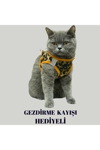 Patifashion Düz Fosforlu Leopar Ayarlanabilir Gezdirme Göğüs Kedi Tasması