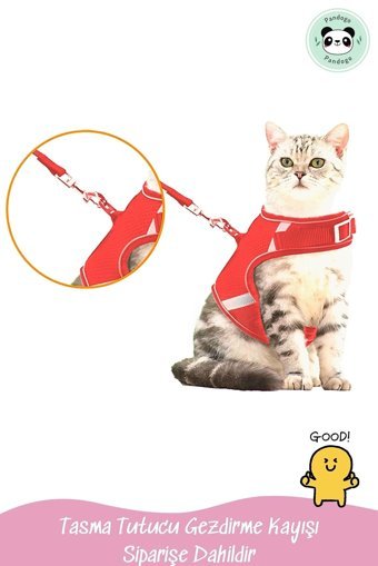 Pandogo Düz Fosforlu Kırmızı Ayarlanabilir Gezdirme Göğüs Kedi Tasması
