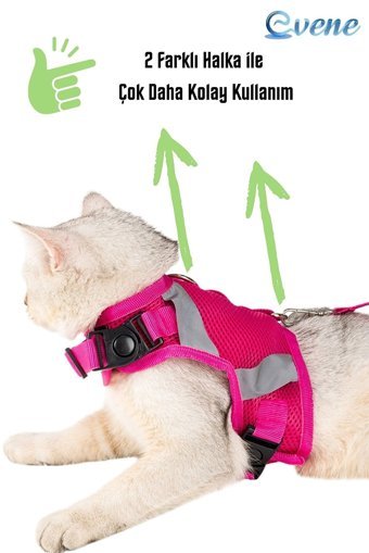 Evene Fileli Fosforlu Pembe Ayarlanabilir Gezdirme Göğüs Kedi Tasması