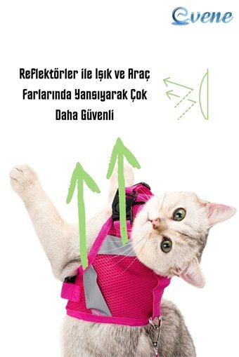 Evene Fileli Fosforlu Pembe Ayarlanabilir Gezdirme Göğüs Kedi Tasması