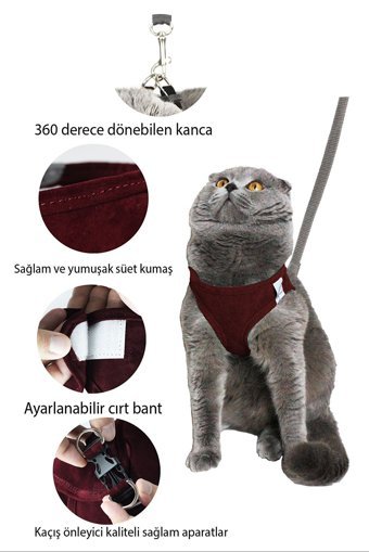 Petköy Düz Fosforlu Bordo Ayarlanabilir Gezdirme Göğüs Kedi Tasması