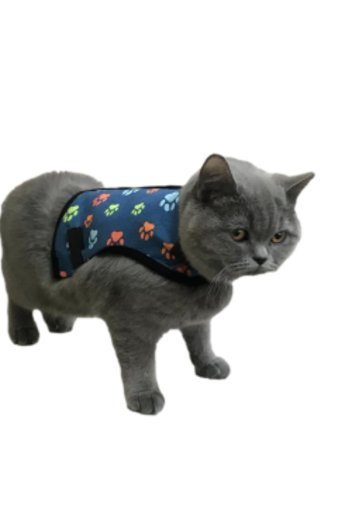 Patifashion Düz Renkli Ayarlanabilir Gezdirme Boyun Kedi Tasması