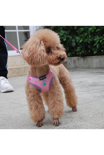 Ebulduk Zilli Düz Pembe Ayarlanabilir Gezdirme Göğüs Kedi Tasması