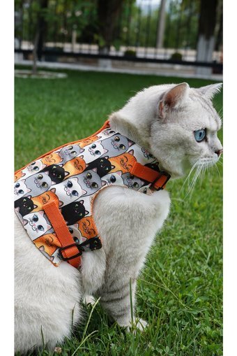 Patipatron Düz Turuncu Ayarlanabilir Gezdirme Göğüs Kedi Tasması