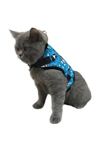 Patifashion Düz Fosforlu Yeşil Ayarlanabilir Gezdirme Göğüs Kedi Tasması