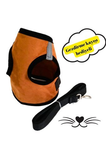 Patifashion Düz Fosforlu Taba Ayarlanabilir Gezdirme Göğüs Kedi Tasması