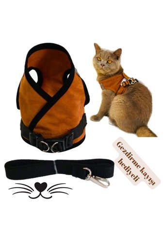 Patifashion Düz Fosforlu Taba Ayarlanabilir Gezdirme Göğüs Kedi Tasması