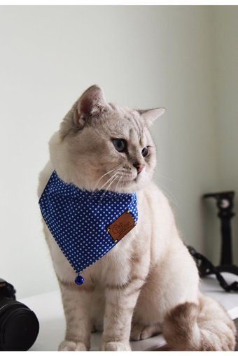 Patipatron Zilli Fularlı Mavi-Beyaz Ayarlanabilir Gezdirme Boyun Kedi Tasması