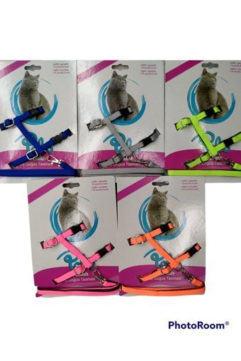 Polo Zilli Düz Renkli Ayarlanabilir Gezdirme Göğüs Kedi Tasması