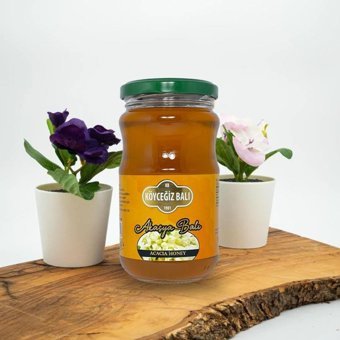 Köyceğiz Muğla Süzme Akasya Balı 450 gr
