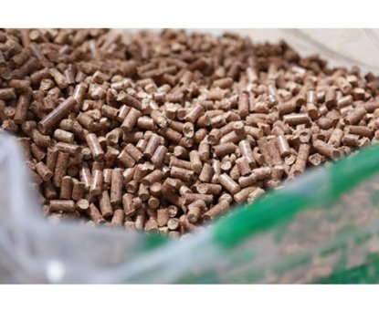 Yeşil Enerji Kalın Taneli Pelet Kedi Kumu 20 kg