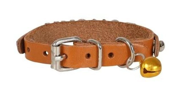 Cattie Çıngıraklı Camel Gezdirme Boyun Kedi Tasması