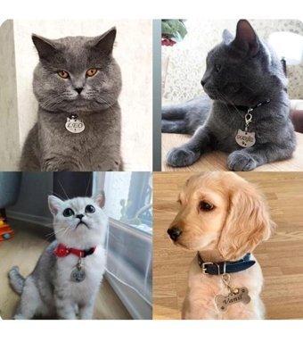 Hifa Diamond Reflektörlü Çok Renkli Gezdirme Boyun Kedi Tasması