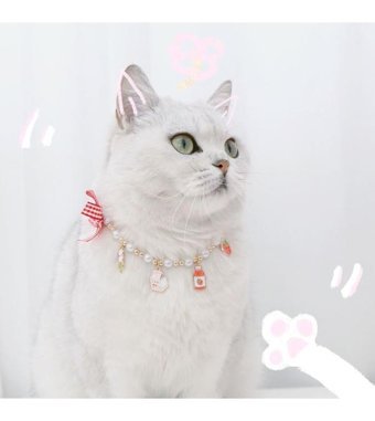 Yystore Çok Renkli Ayarlanabilir Gezdirme Boyun Kedi Tasması