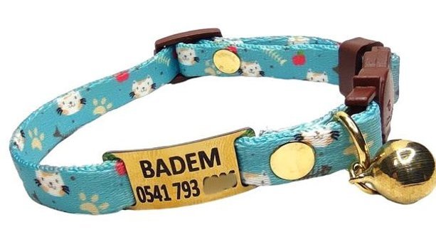 Ayz Markalama Çanlı Turkuaz Gezdirme Boyun Kedi Tasması