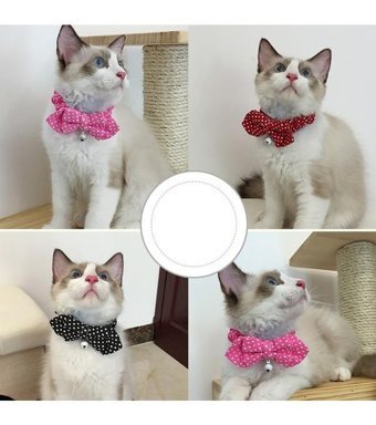 Magideal Zilli Çok Renkli Gezdirme Boyun Kedi Tasması