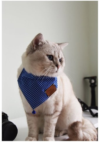Patipatron Mavi Ayarlanabilir Gezdirme Boyun Kedi Tasması