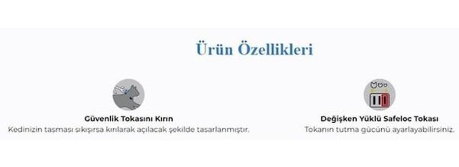Rogz Gül Kurusu Gezdirme Boyun Kedi Tasması