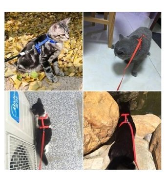 Temiz Pazar Çok Renkli Ayarlanabilir Gezdirme Boyun Kedi Tasması