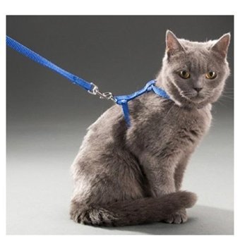 Temiz Pazar Çok Renkli Ayarlanabilir Gezdirme Boyun Kedi Tasması