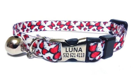 Ayz Markalama Alleycat Halsband Beyaz - Kırmızı Gezdirme Boyun Kedi Tasması