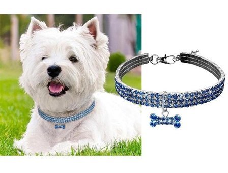Magideal Zilli Mavi Ayarlanabilir Gezdirme Boyun Kedi Tasması