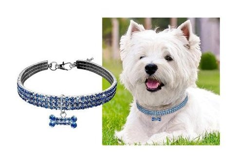 Magideal Zilli Mavi Ayarlanabilir Gezdirme Boyun Kedi Tasması