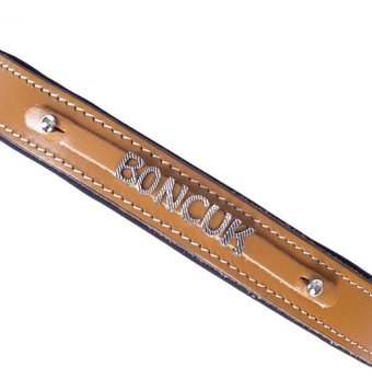 Doggie Glowcat Halsband Camel Gezdirme Boyun Kedi Tasması