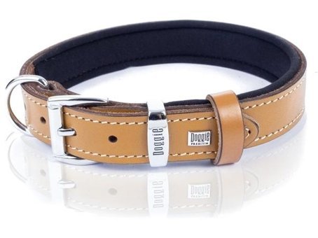 Doggie Glowcat Halsband Camel Gezdirme Boyun Kedi Tasması