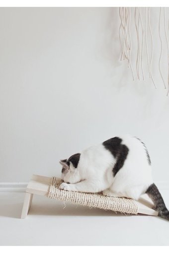 Lalezen Kedi Tırmalama Rampası