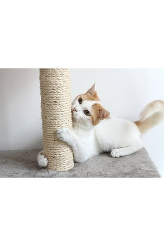 LoyaPed Oyuncaklı 42 cm Kedi Tırmalama Direği