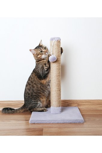 LoyaPed Oyuncaklı 42 cm Kedi Tırmalama Direği
