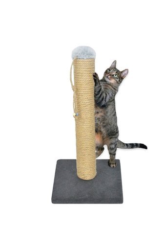 Patiderm Oyuncaklı 50 cm Kedi Tırmalama Direği