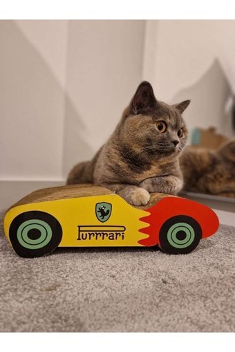 Miyav Purrari 30 cm Kedi Tırmalama Rampası
